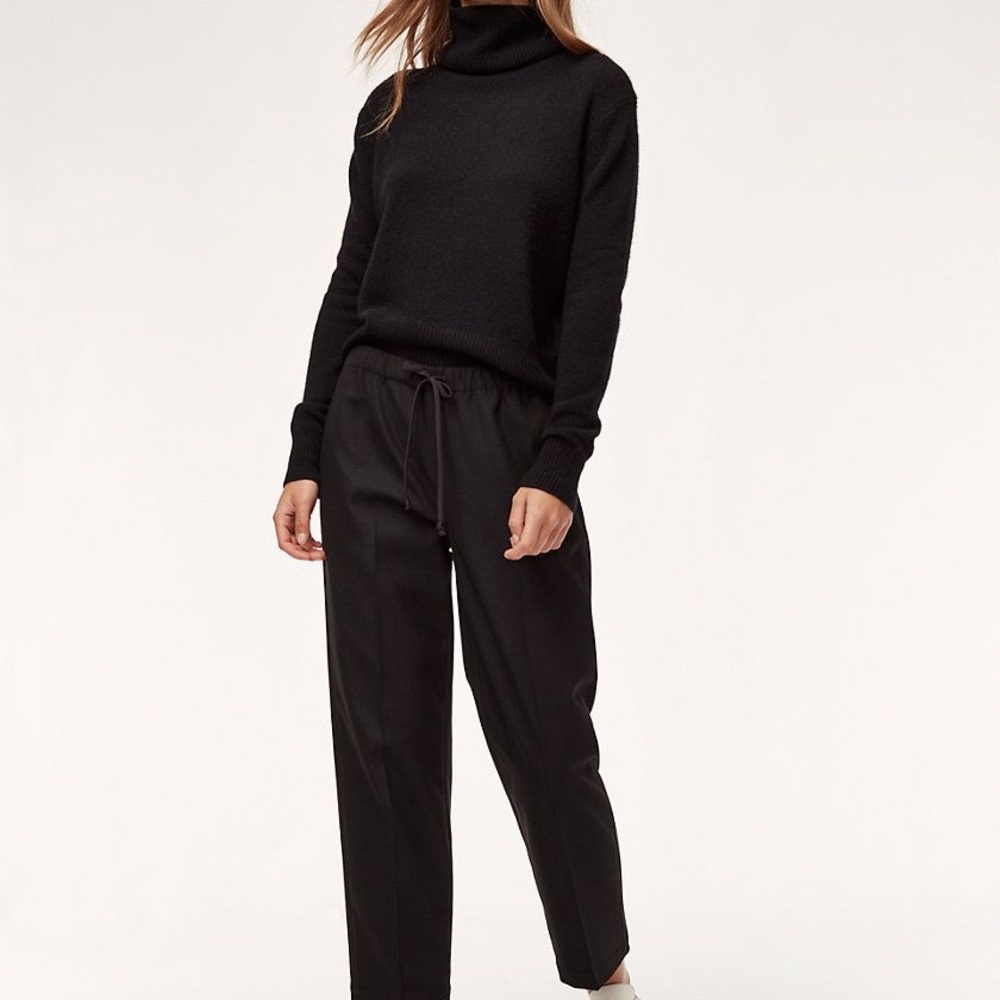 Aritzia Babaton Jimmy Pants